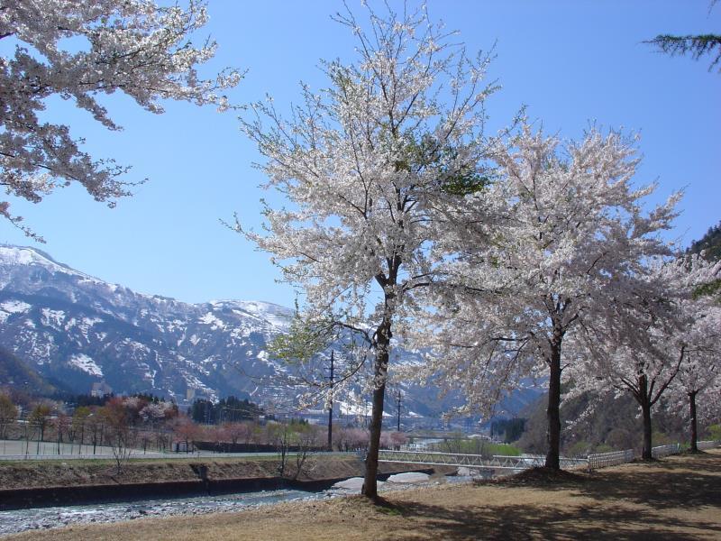 Pension Noah Yuzawa  Exterior foto